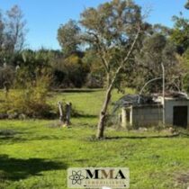 ¡¡Finca rústica en VENTA, camino de Valverde, Gibraleón!!